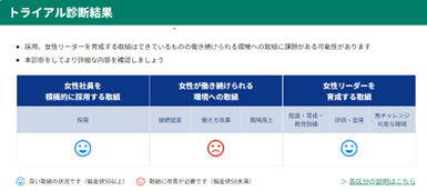【トライアル版 診断結果画面（サンプル）】