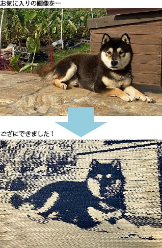 お好きな画像をオーダーでござに