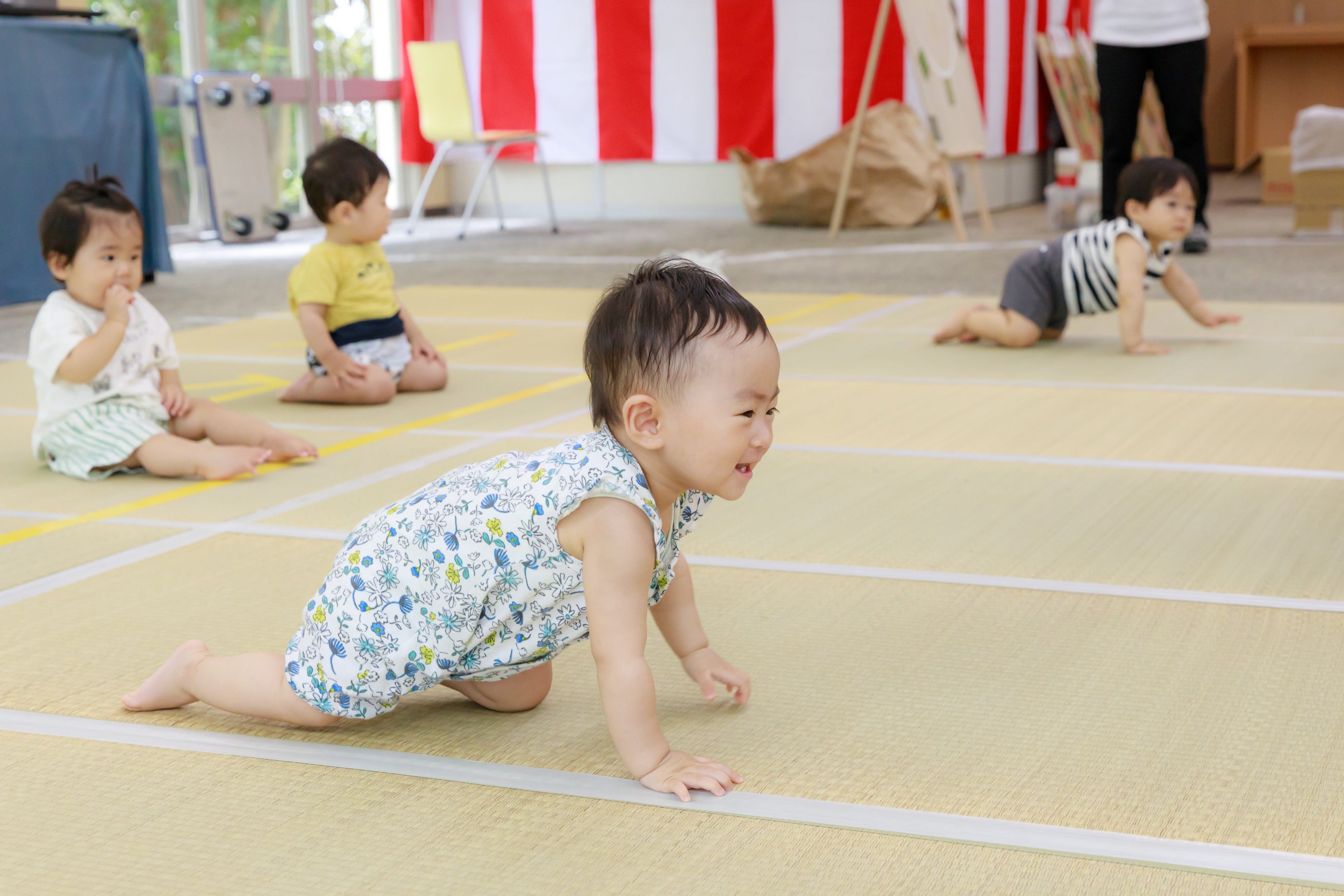 ハイハイレース