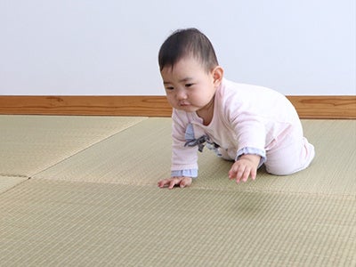 ハイハイレース