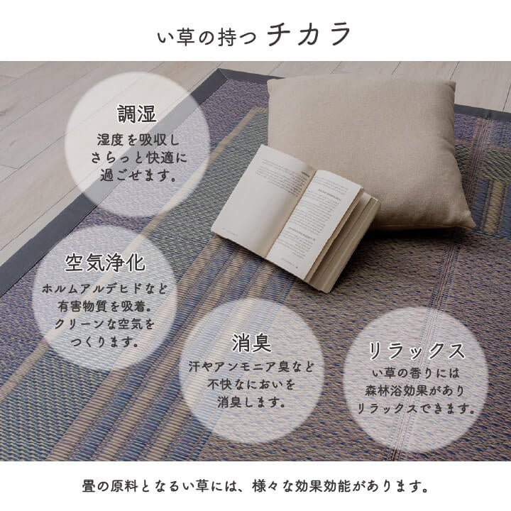 IKEHIKO イケヒコ×宮田織物 久留米織 日本産い草ラグ 191×191 イケヒコ い草ラグ 純国産 DXデニムラルフ 191×191cm 2畳 夏用