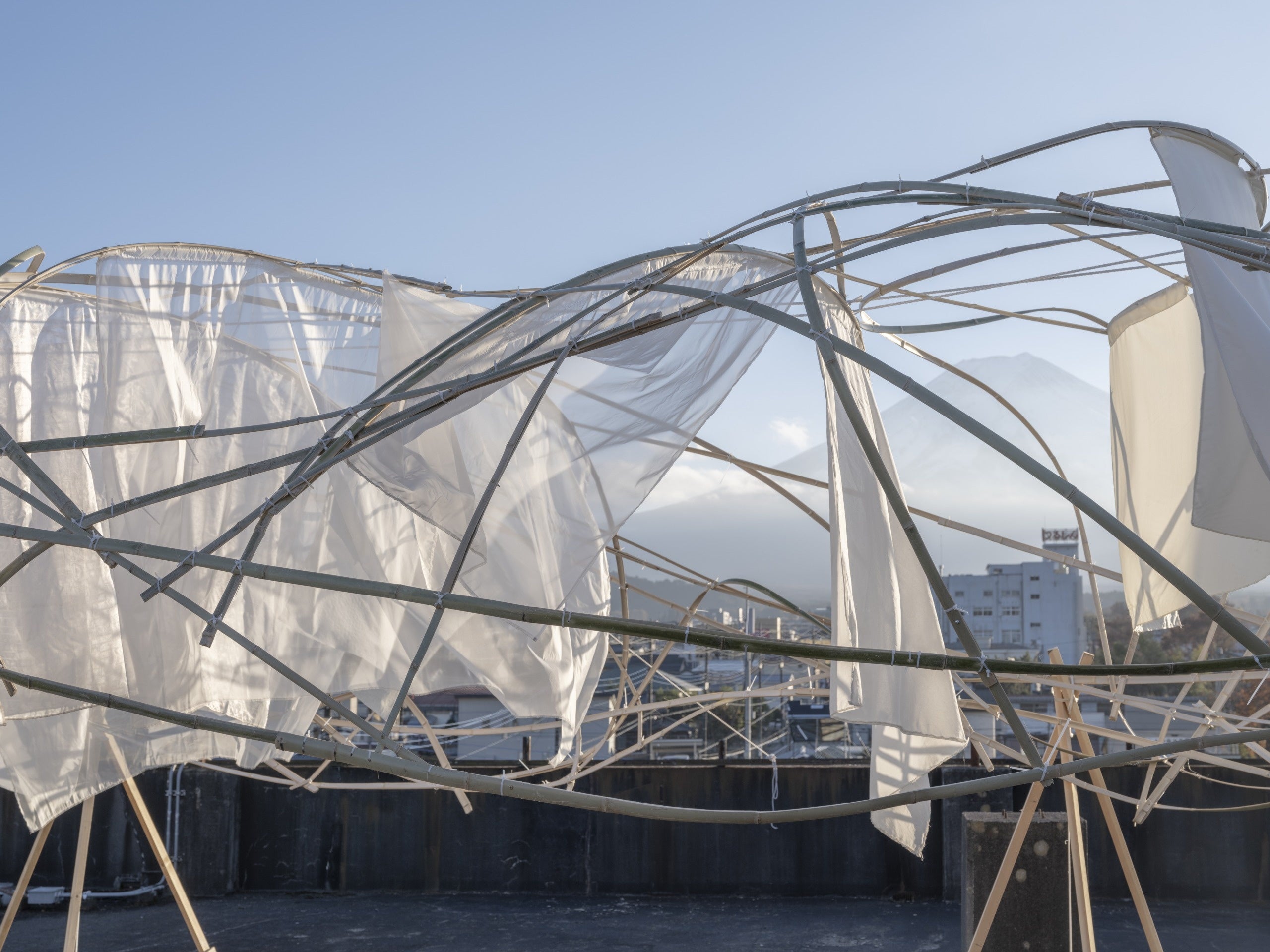 ジャファ・ラム&nbsp; 《あなたの山を探して》