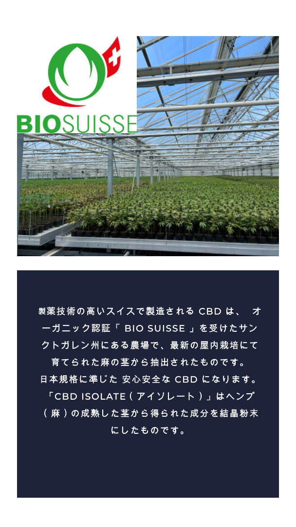 吉川ひなの』プロデュース。国内最高品質No. 1CBDブランドを目指す