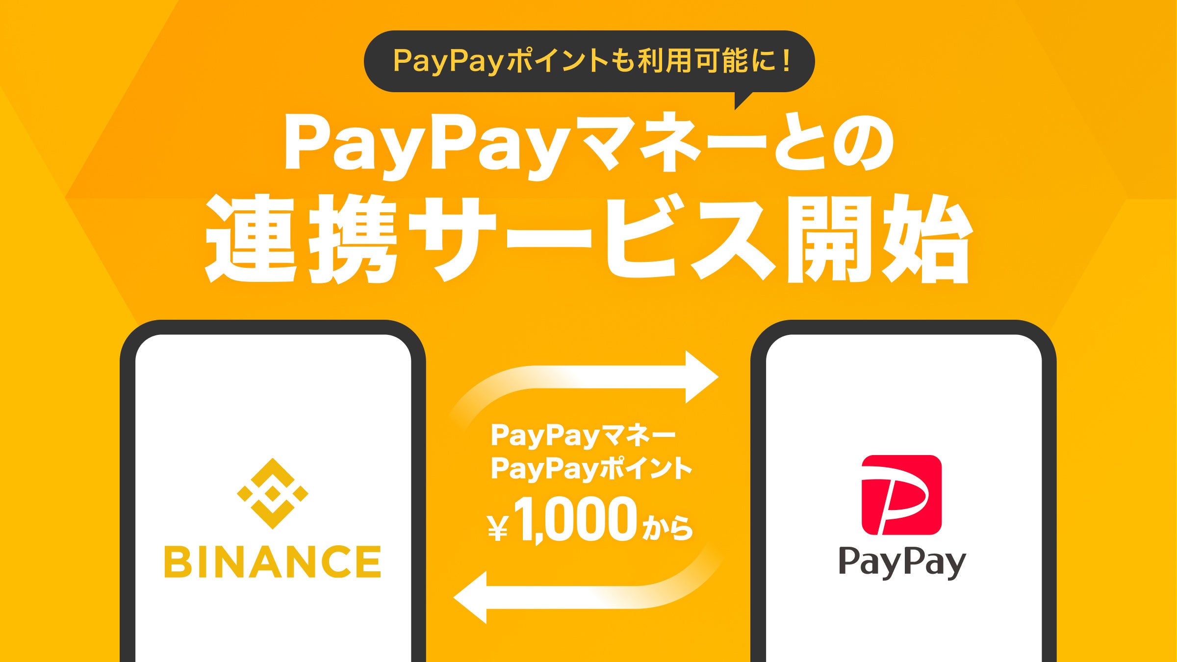 その他 paypay 126862-39-