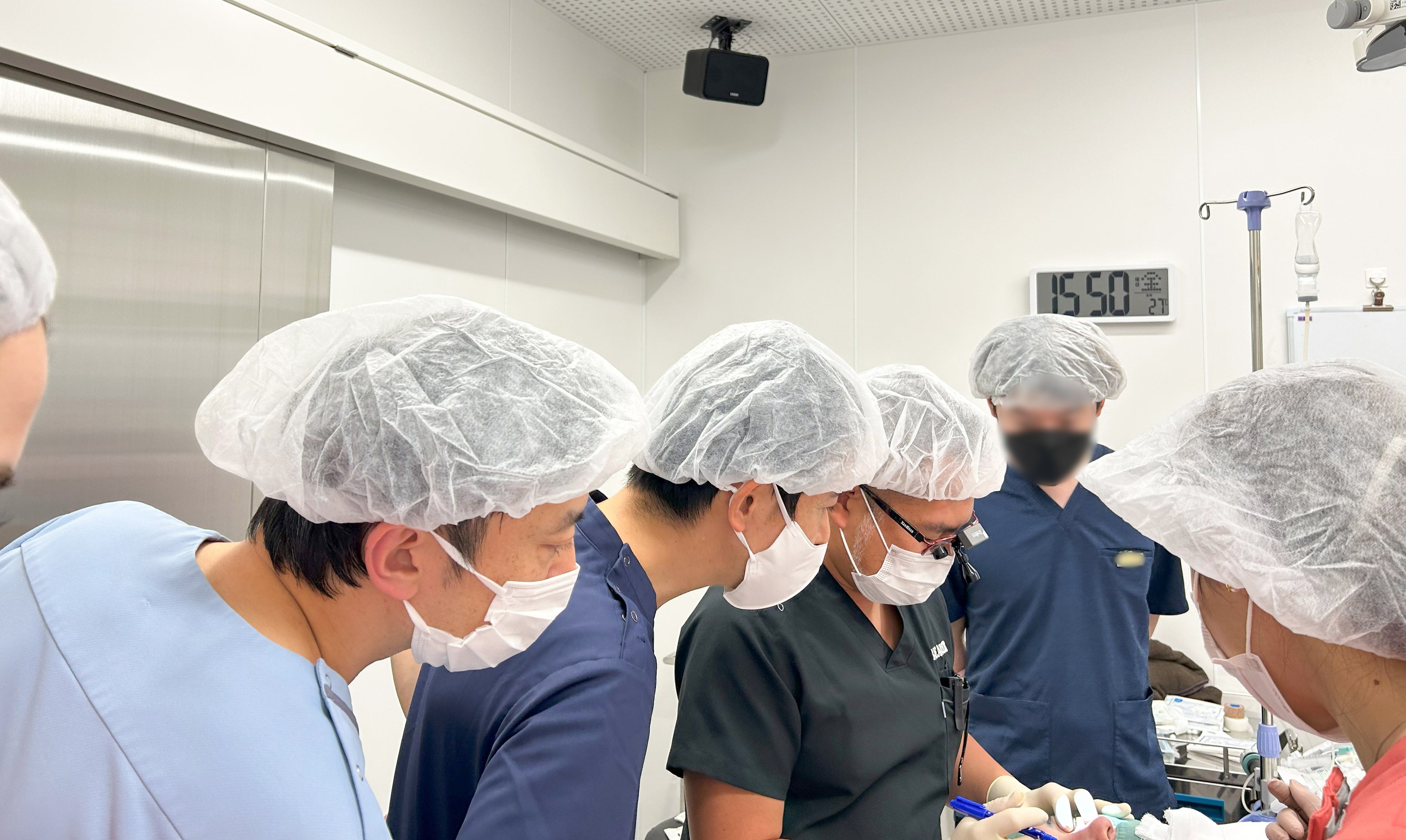 ライブ手術見学の様子