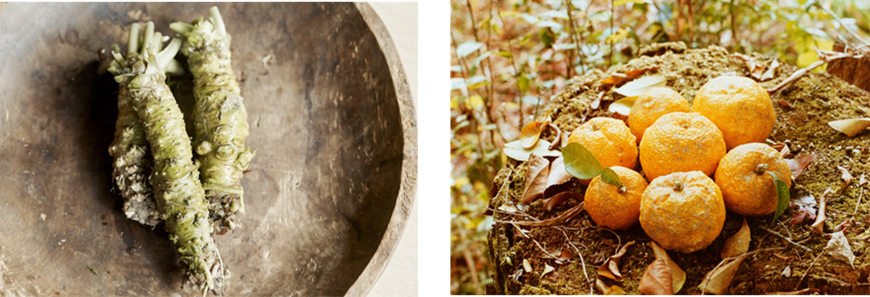 （奥多摩の食材　イメージ）