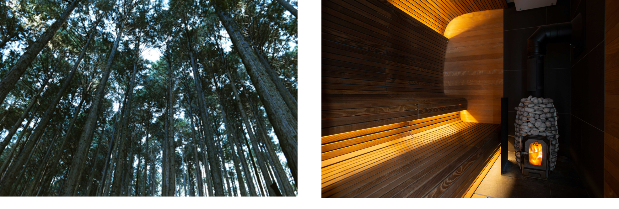 (薪サウナ　イメージ)