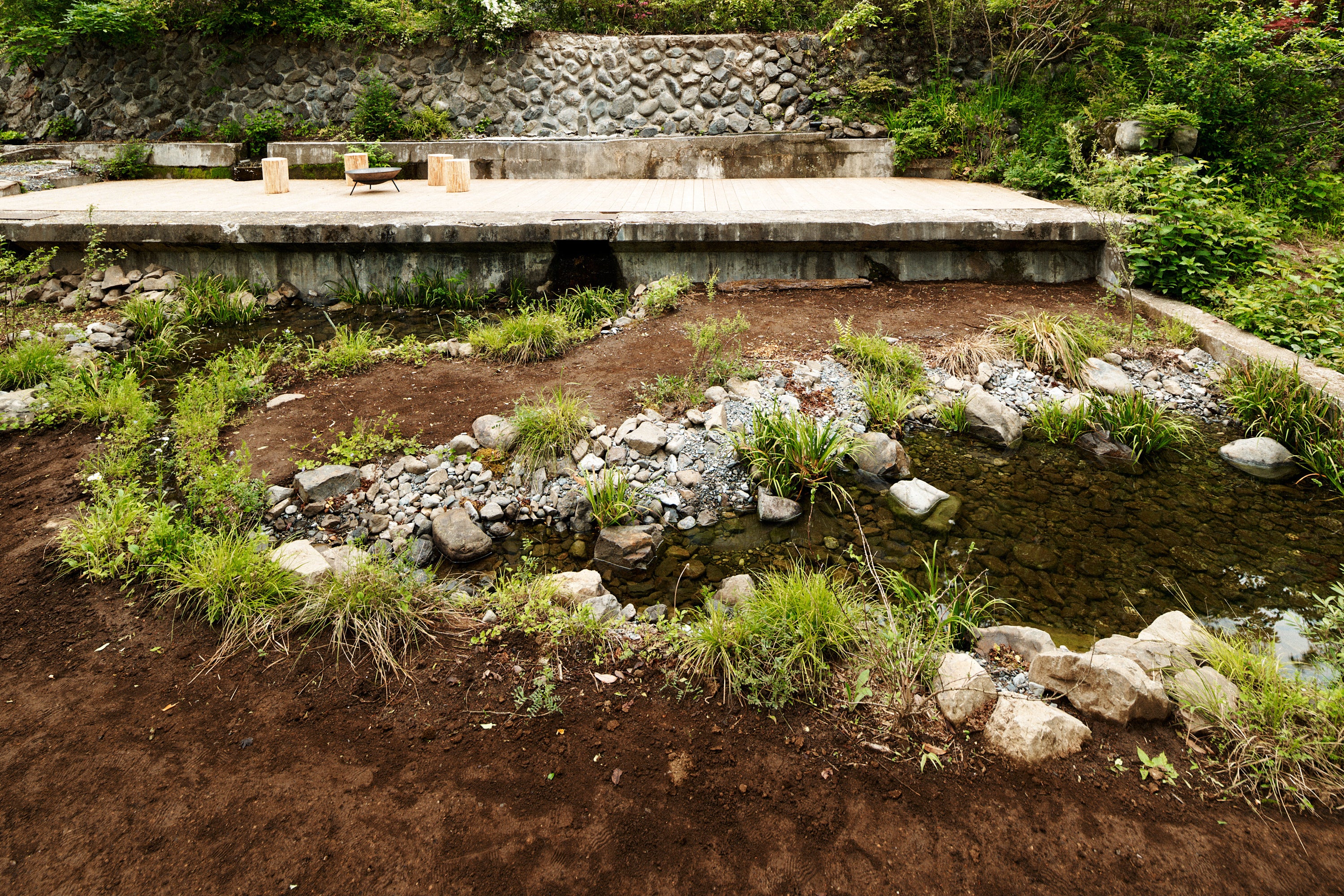 ©︎Daisuke Takashige｜ビオトープ