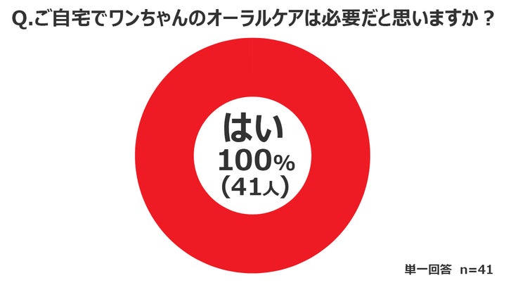 愛犬家の医師の100%が「犬のデンタルケアは必要」と回答! ~犬用歯周 愛犬家の医師の100%が「犬のデンタルケアは必要」と回答! ~犬用歯周