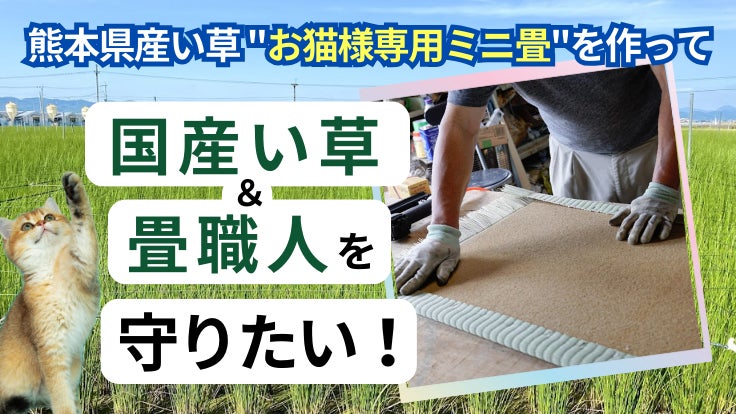 お猫様専用ミニ畳】国産い草を守るプロジェクトに新リターンを お猫様専用ミニ畳】国産い草を守るプロジェクトに新リターンを