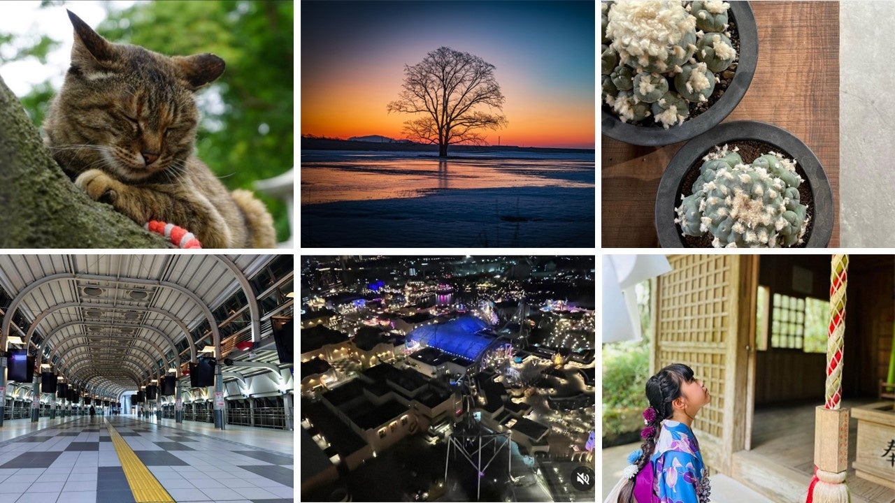 フォトコンテストの応募作品の一部