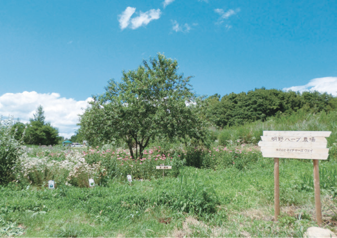 有機JAS認定を取得している山梨県北杜市明野町の自社農場