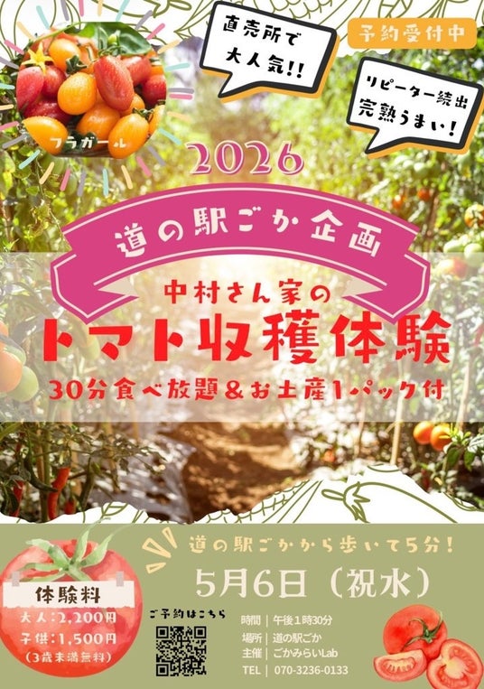 【茨城県五霞町】大人気のトマト収穫体験がふるさと納税の返礼品に! 【茨城県五霞町】大人気のトマト収穫体験がふるさと納税の返礼品に!