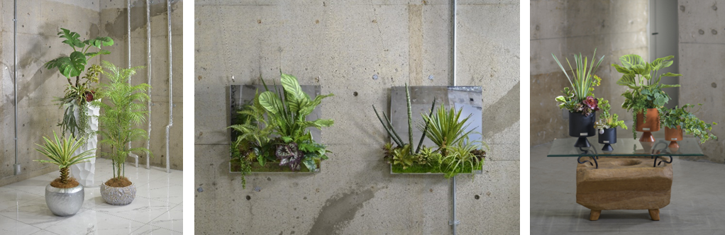 水やり、日光浴など不要で扱いやすいのに、本物と間違うほど瑞々しく