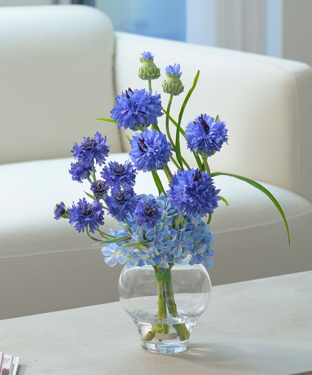 海や空を連想させる印象的なブルーが大人気のコーンフラワー登場 今