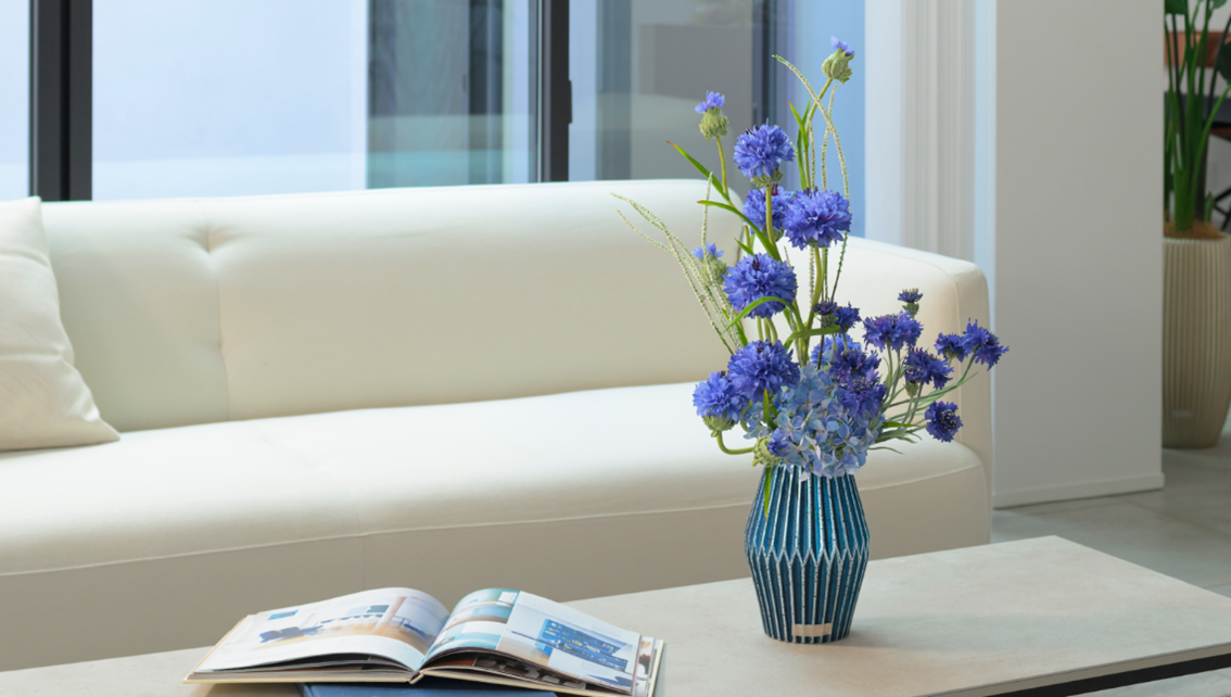 海や空を連想させる印象的なブルーが大人気のコーンフラワー登場 今