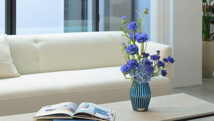 海や空を連想させる印象的なブルーが大人気のコーンフラワー登場 今 海や空を連想させる印象的なブルーが大人気のコーンフラワー登場 今