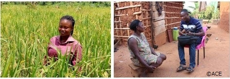 左：収穫前のお米と女性メンバー　右：パートナー団体のスタッフが最近の状況を聞き取り