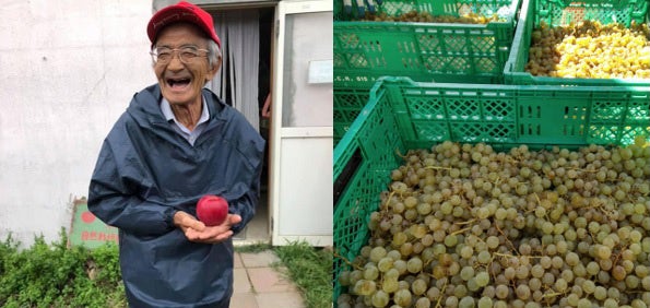 （左）木村秋則氏、（右）f wineryに届いたナイアガラ