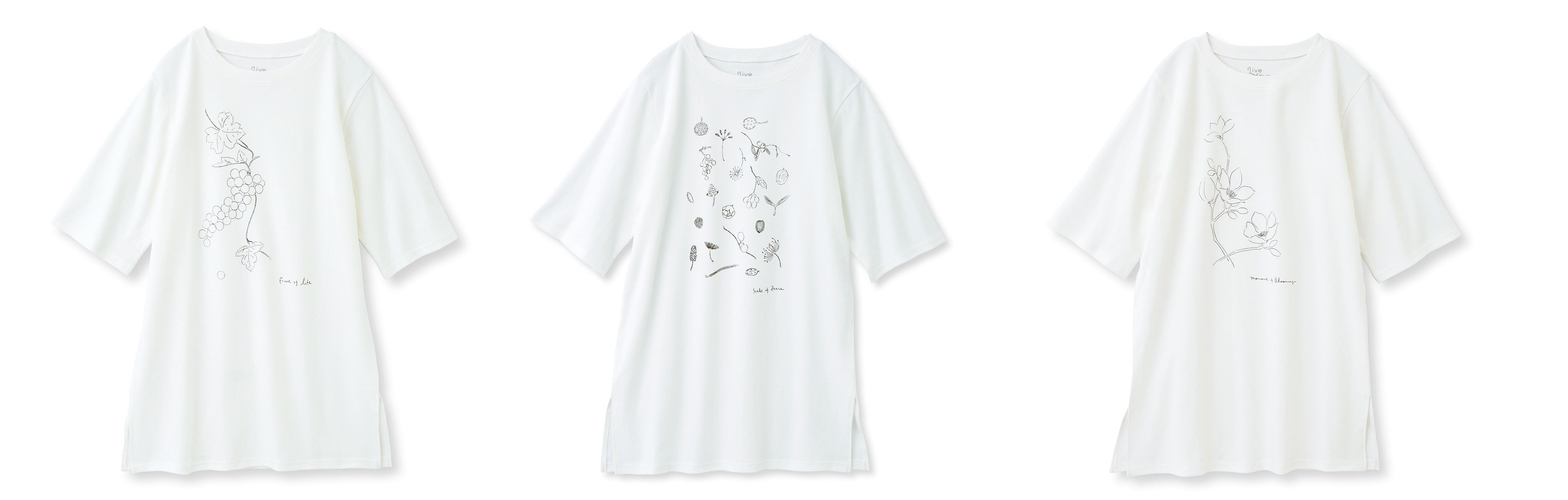 左から〈ブドウ〉、〈木蓮〉、〈記憶の中の種〉がテーマです。