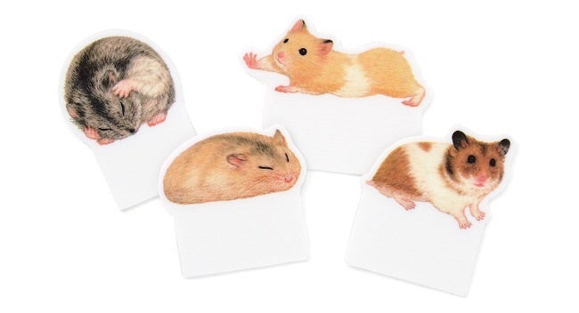 ハムスターたちのあるあるなしぐさが楽しめる 気づけばハムまみれ ノートで遊ぶハムスター ふせん が フェリシモ You More から誕生 株式会社フェリシモのプレスリリース ハムスターたちのあるあるなしぐさが楽しめる 気づけばハムまみれ ノートで遊ぶハムスター ふせん が フェリシモ You More から誕生 株式会社フェリシモのプレスリリース
