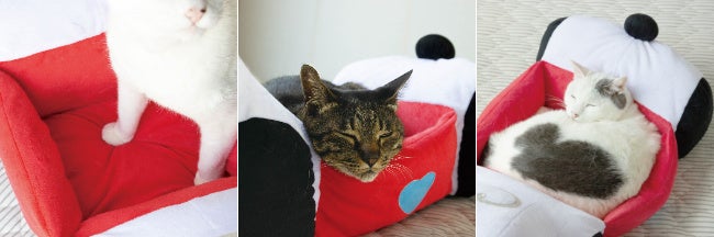 ※モデル猫 中央:たから(オス5kg)、右:いくら(オス6kg)