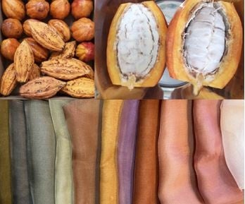  『カカオ染の森さんぽ－フェリシモ チョコレート ミュージアムと植物染造形作家いまふく ふみよ共同実験工房－』