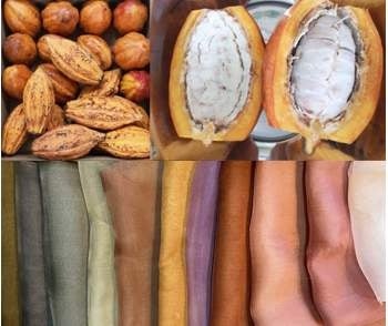  『カカオ染の森さんぽ－フェリシモ チョコレート ミュージアムと植物染造形作家いまふく ふみよ共同実験工房－』