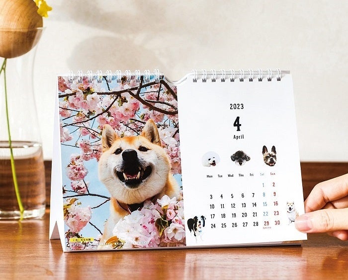 画像はイメージです