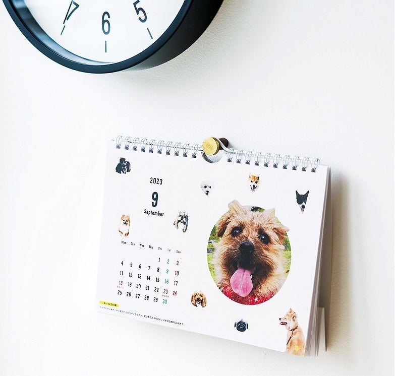 画像はイメージです