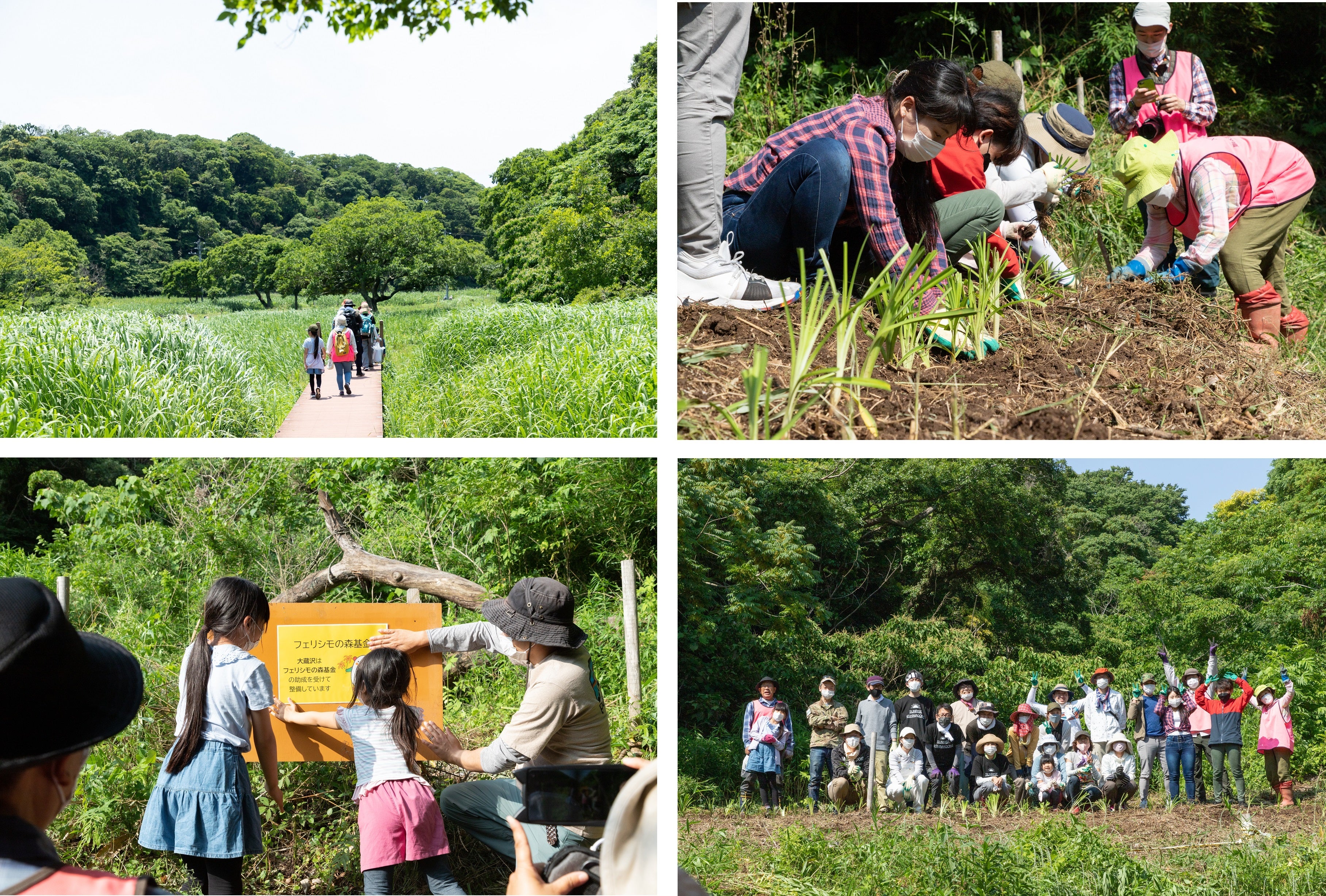 2022年6月4日に実施した「小網代の森プロジェクト」植林の様子