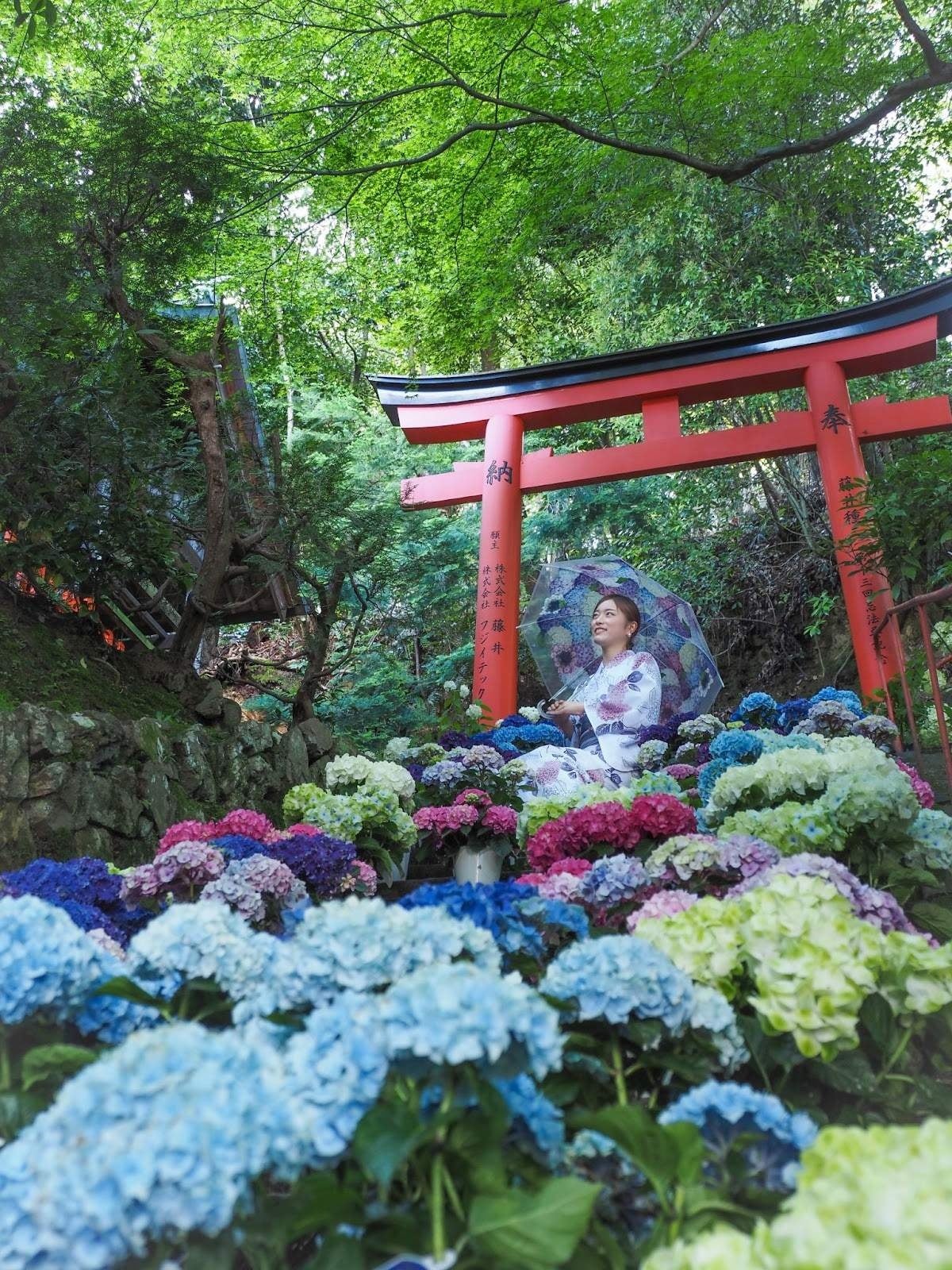 (撮影者：tera_2020)