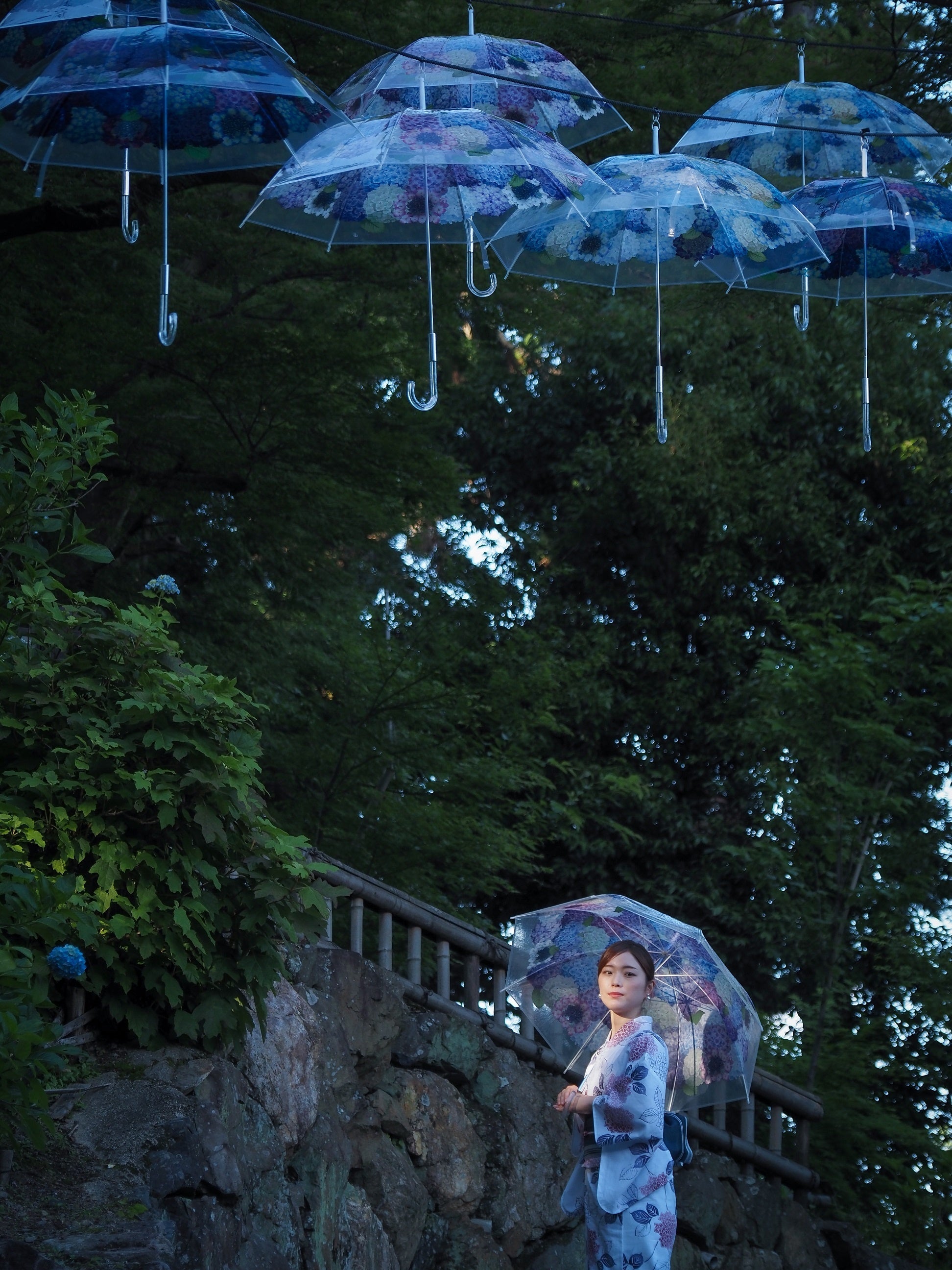 (撮影者：tera_2020)