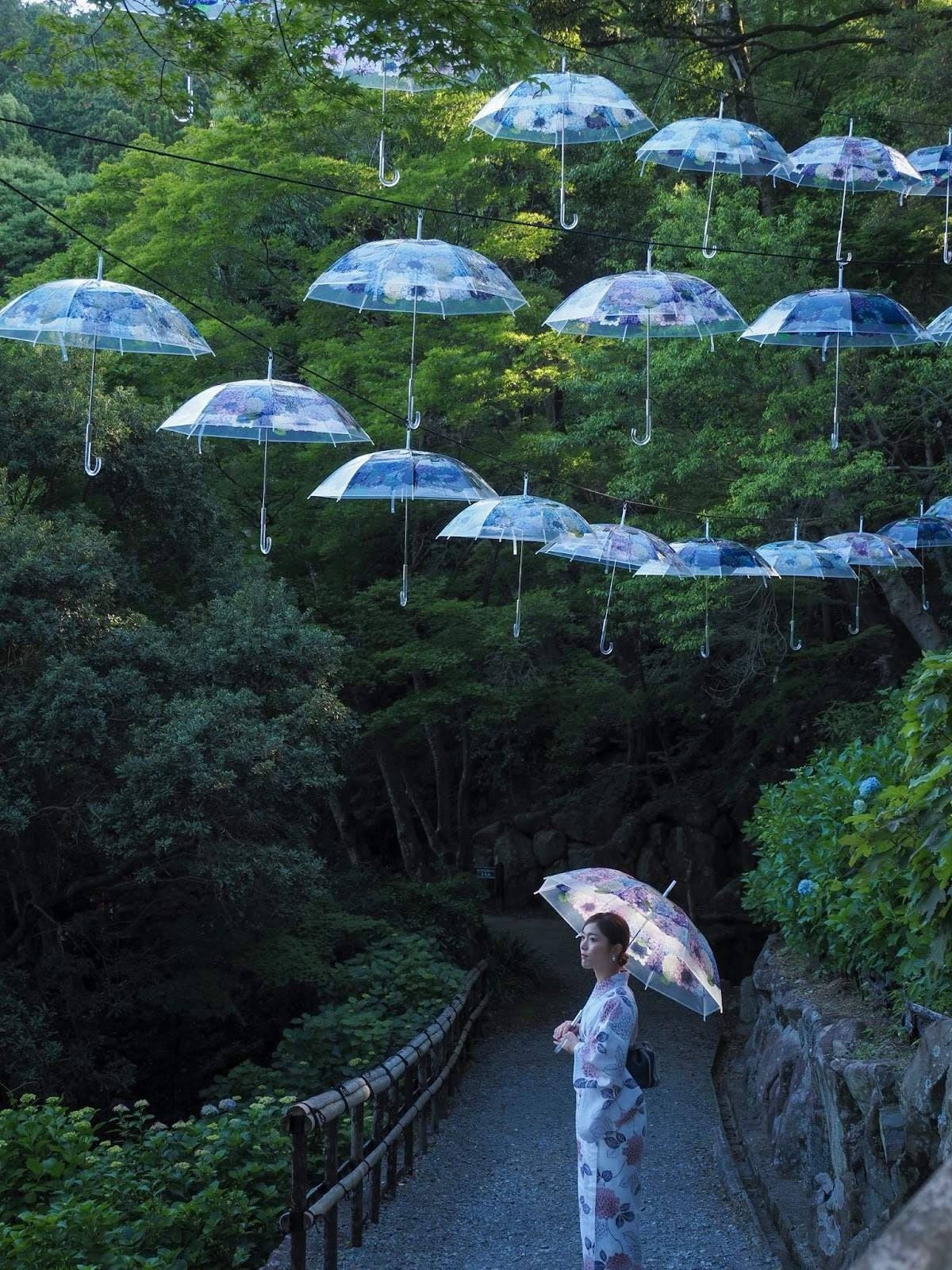 (撮影者：tera_2020)