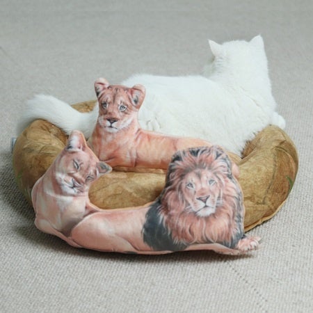 モデル猫:体重3.4㎏