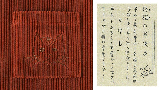 資料提供：国立極地研究所