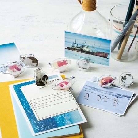 資料提供：国立極地研究所