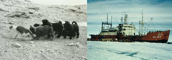 資料提供：国立極地研究所