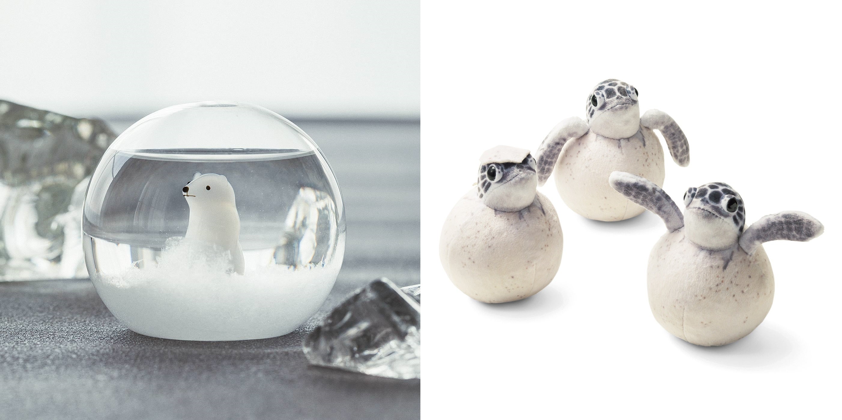 （左から「旭山動物園とボルネオの森へ恩返し」「小笠原海洋センターと考えるウミガメの未来」）