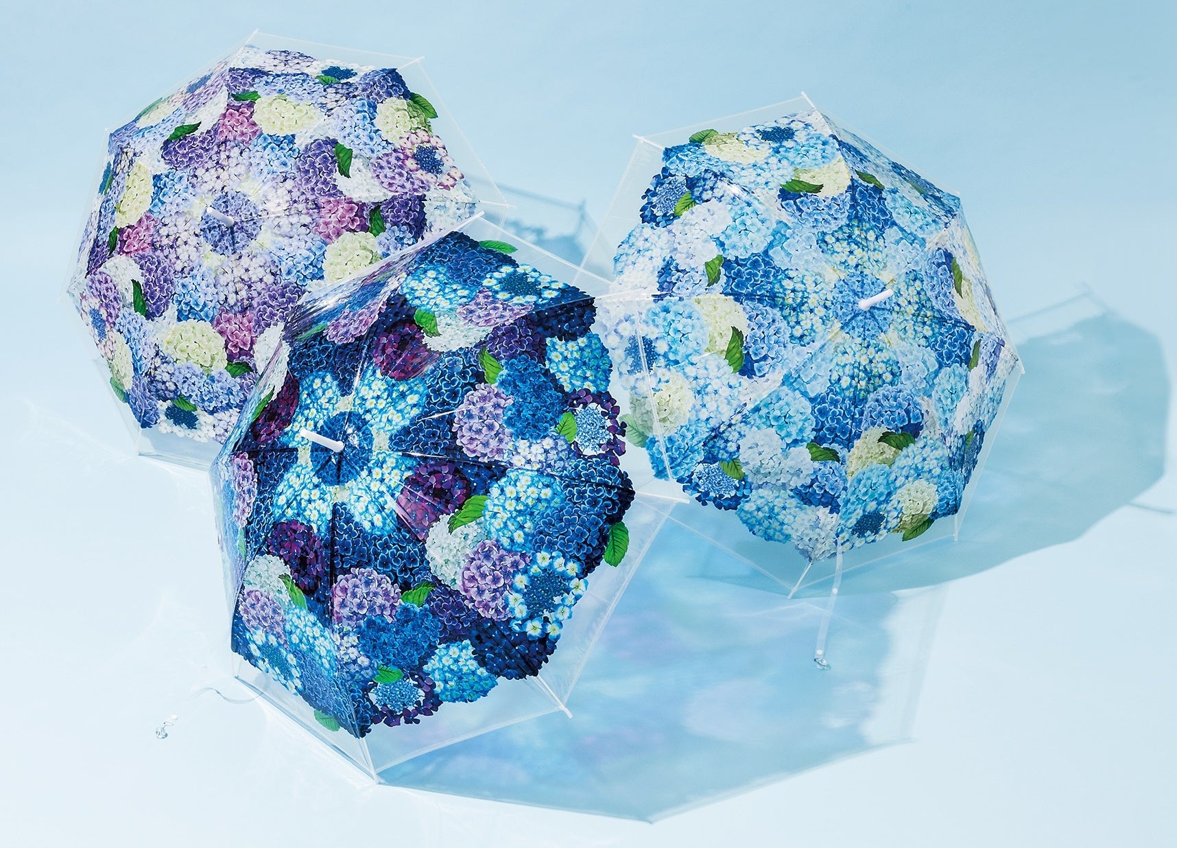 紫陽花傘フォトコン」が楽しめる「紫陽花の傘」が無料で借り