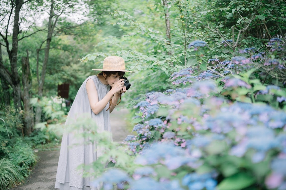 画像:ROKKO森の音ミュージアム