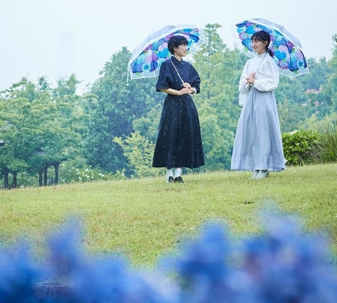 紫陽花傘フォトコン」が楽しめる「紫陽花の傘」が無料で借り