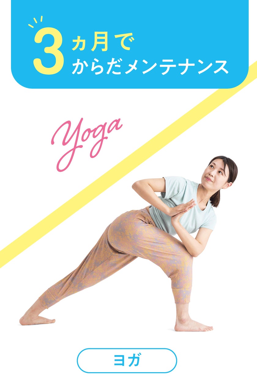 フェリシモ ヨガ からだと心を整える ゆるいヨガ レッスンプログラム フルセット 12759-3515-