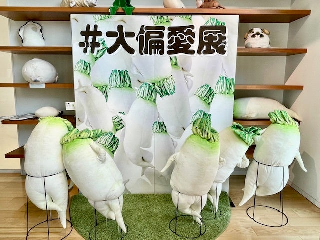 展示風景「セクシー大根抱き枕」