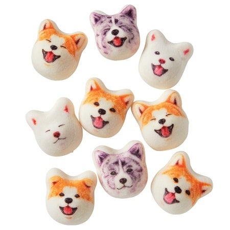 表情豊かな秋田犬が勢ぞろい！ かわいすぎて食べられないと人気の和風