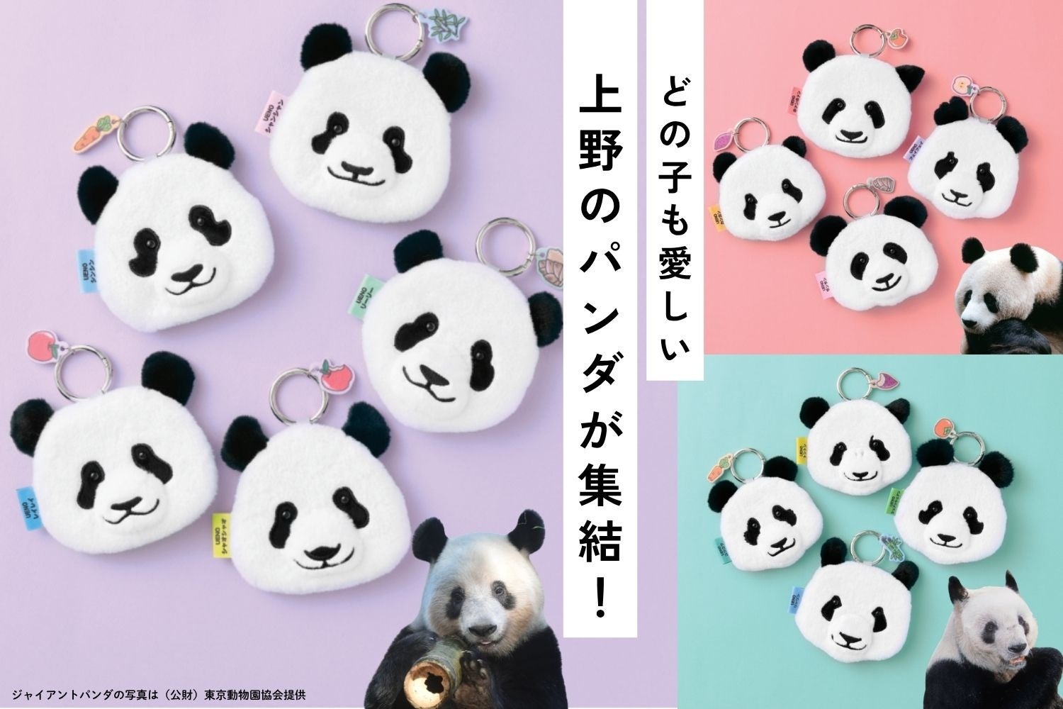 上野動物園の歴代パンダ13頭が勢ぞろい!カンカン・ランランから双子のシャオシャオ・レイレイまでそれぞれの顔を完全再現した「フェイスポーチ」が ...
