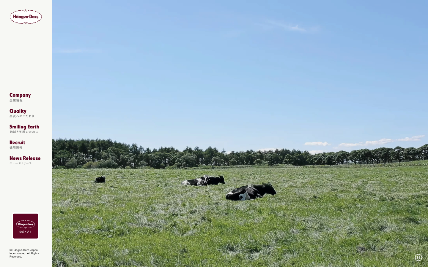 ▲企業情報をまとめたページ（コーポレートサイト）