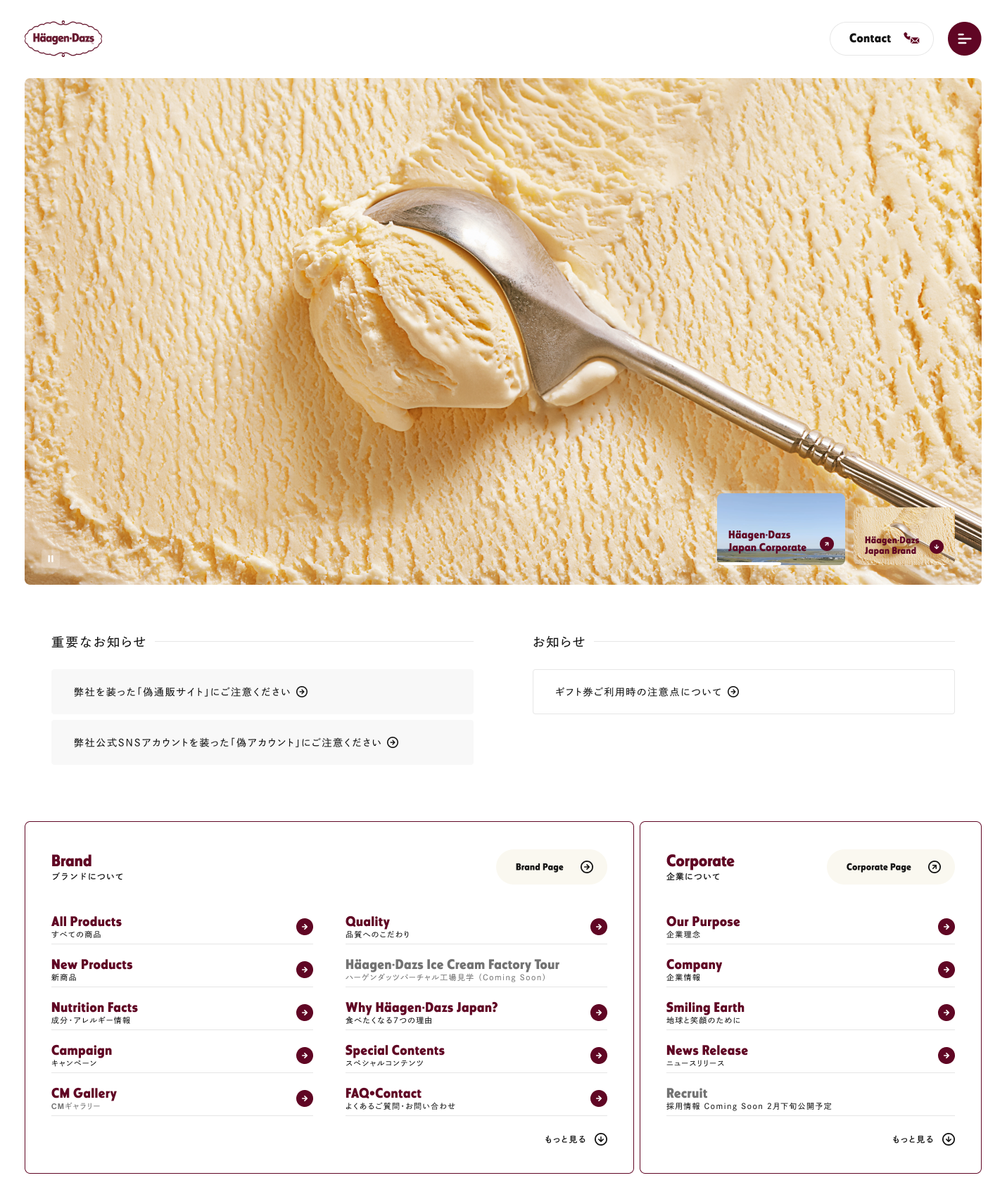 ▲公式サイトトップページ（扉ページ）