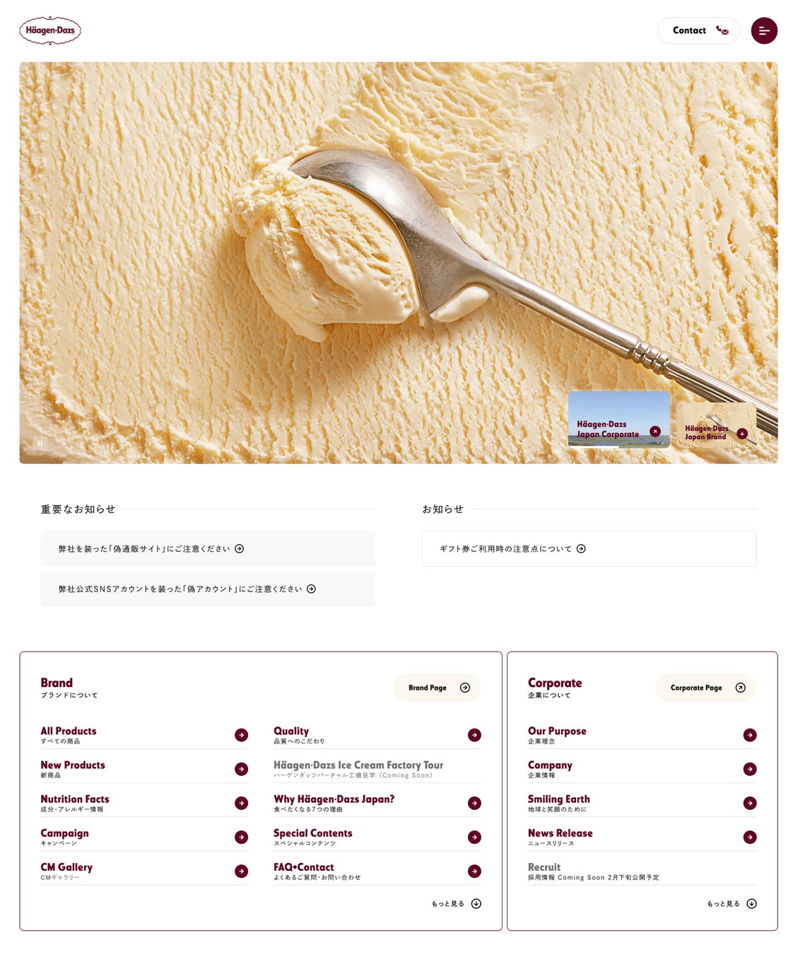 ▲公式サイトトップページ(扉ページ)