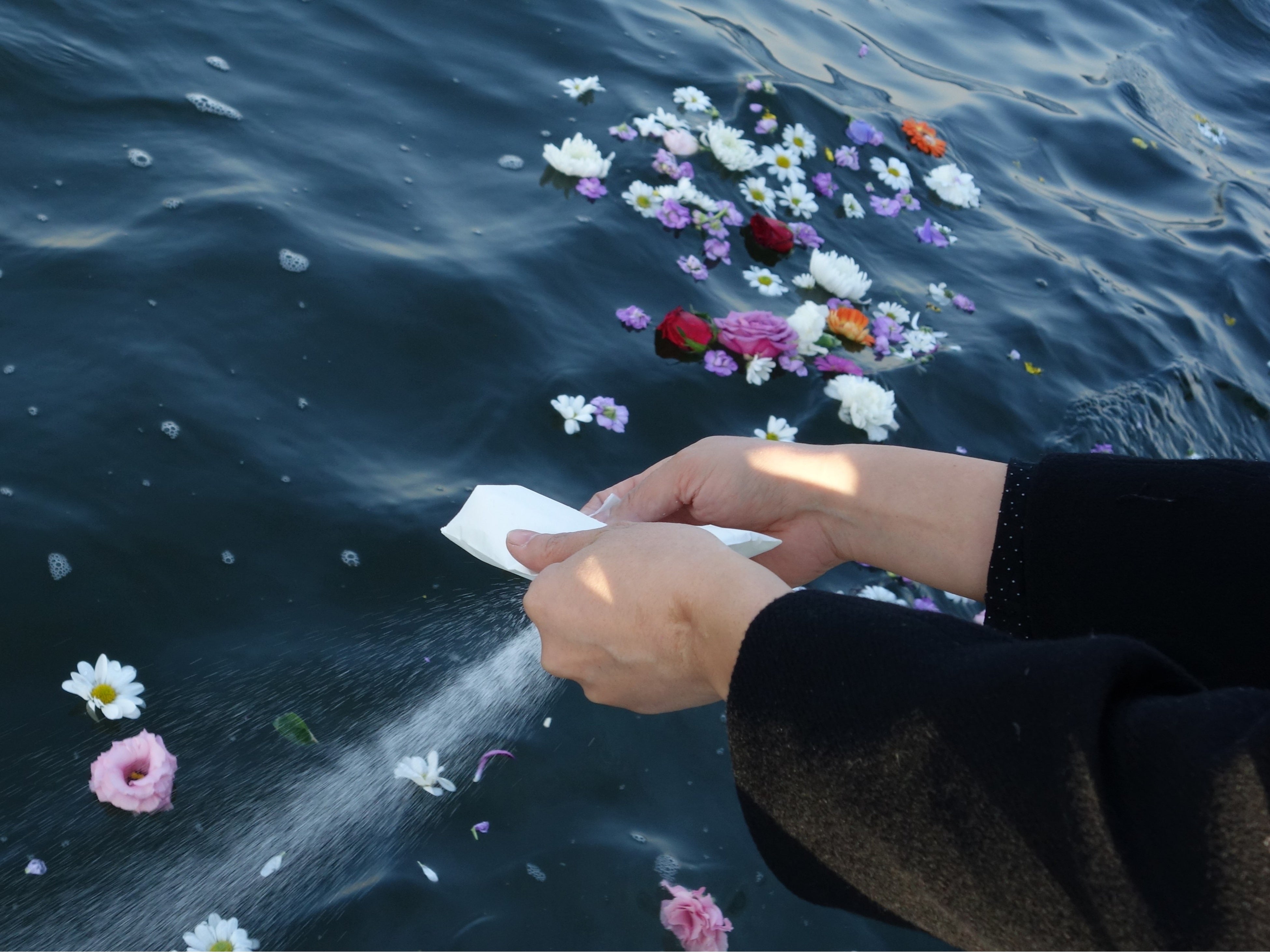 海洋散骨の際は遺骨を粉末状にすることがガイドラインに規定されている